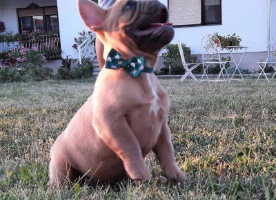 viberimage202108121657071061628845815