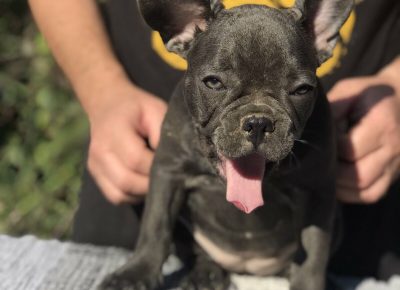 viberimage202108131327418151628941331