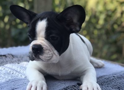 viberimage202108131328359821628941332