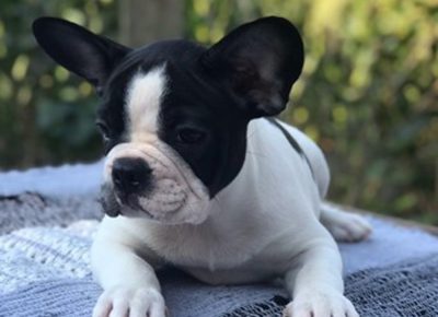 viberimage202108131328359821629463075