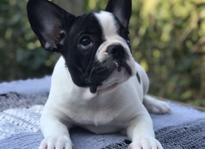 viberimage202108131328365421628941331