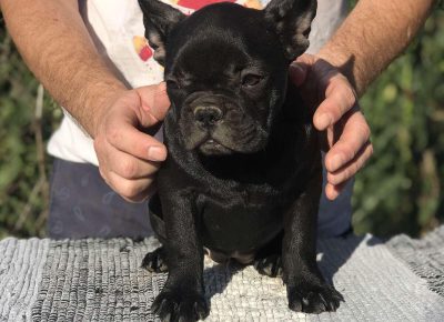 viberimage202108131328543011628941332