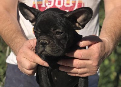 viberimage202108131328547921628941330