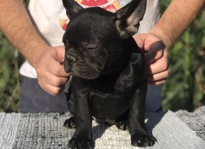 viberimage202108131328599911629463073