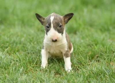 viberimage202108181333201571629401661