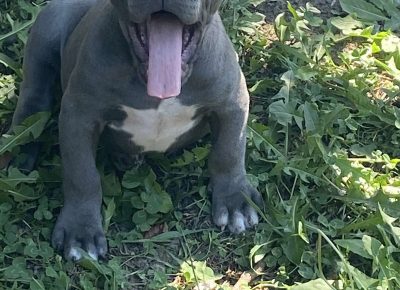 viberimage202108190124386951629480822