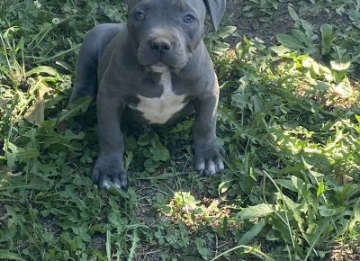 viberimage202108190124391481629480822