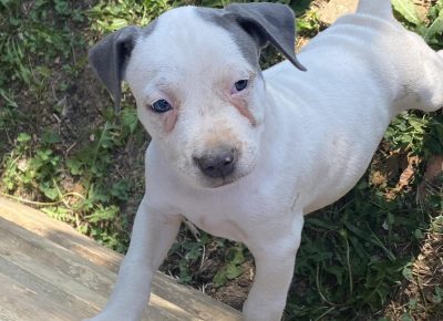 viberimage202108190124396161629480821