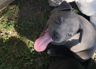 viberimage202108190124400751629480821