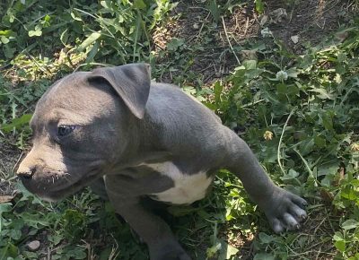 viberimage202108190124405561629480822