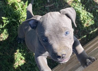 viberimage202108190124414421629480821