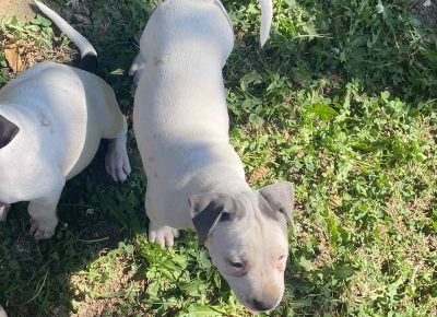 viberimage202108190124419011629480821