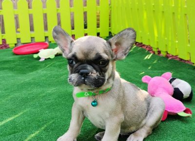 viberimage202108191605292851629447791