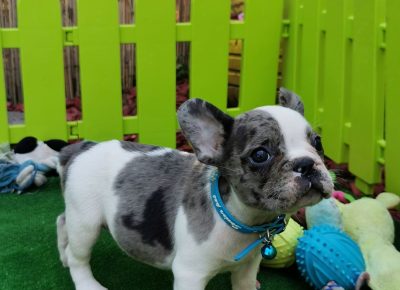 viberimage202108191605376801629447790