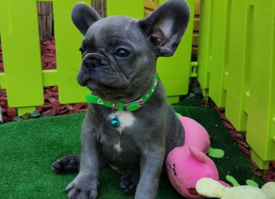 viberimage202108191606153551629447791