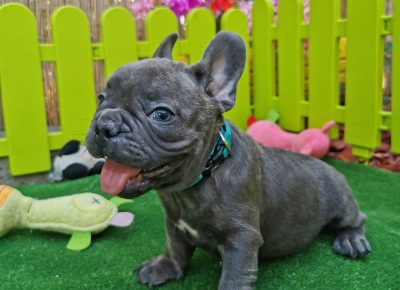 viberimage202108191607152191629447791