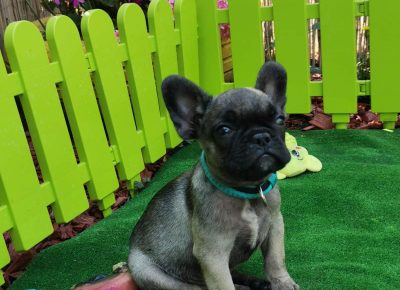 viberimage202108191607444571629447790