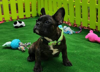 viberimage202108191608155611629447791