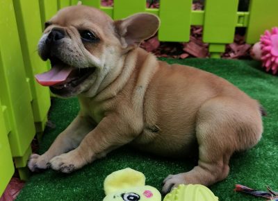 viberimage202108191608458011629447790