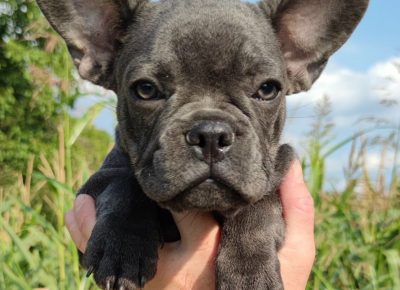 viberimage202108231302105431629821311