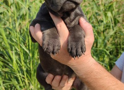 viberimage202108231302320071629821310