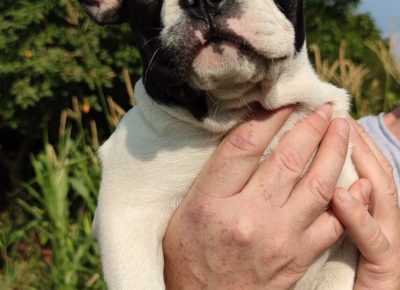 viberimage202108231302541911629821311