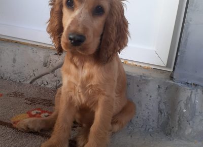 viberimage202108241148517861629832472