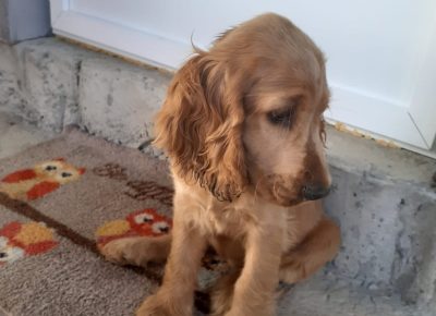 viberimage202108241148520251629832471