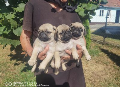 viberimage202108271808528941630149794