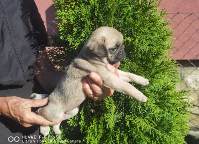 viberimage202108271808529561630149794