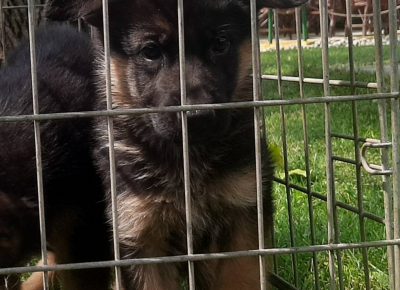 viberimage202108272115127371630104015