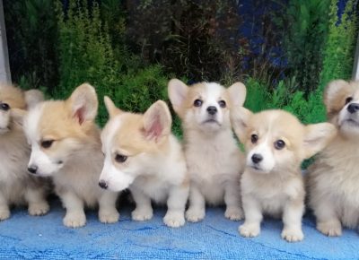 viberimage202108281728130911630245968