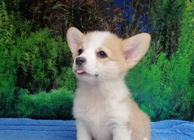 viberimage202108281728431851630245968