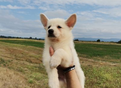 viberimage202108291630517651630274826