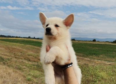 viberimage202108291630518911630274826