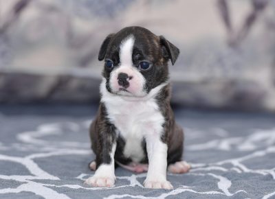 viberimage202108292022540031630357070