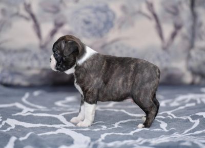 viberimage202108292022540921630357071