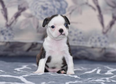 viberimage202108292022545681630357069