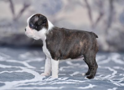 viberimage202108292022546411630357072