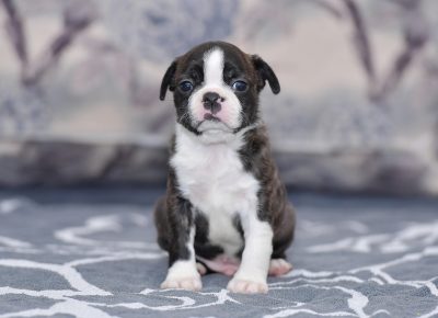 viberimage202108292022552471630357070