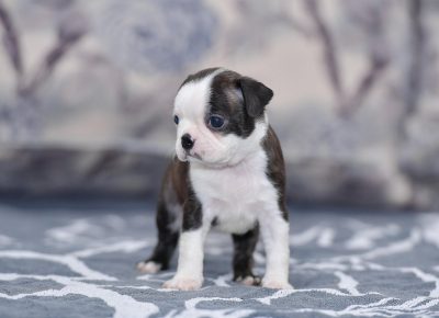 viberimage202108292022553161630357070