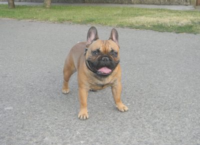 11855819712207738082851595407618398251209654n1631640104