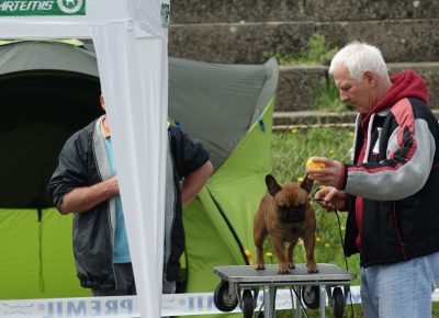 1466498022081307343489392057181772841470908n1632297730