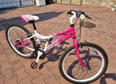 202108171001441632819395