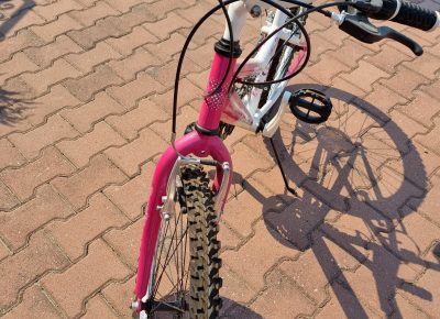 202108171002311632819408