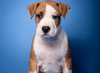 2267704025741016102867128531272778818669551n1630914758