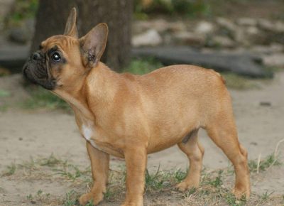 2299267535674512209644782754072695132764476n1630786888