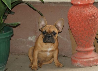 23042668516253727176687863518724375098975088n1630786888