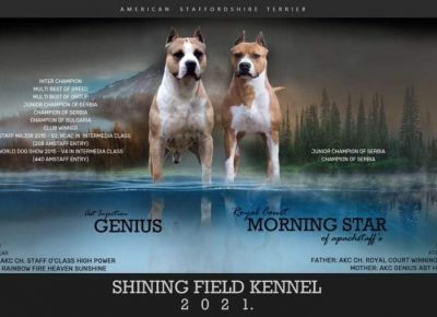 23060593010583665983043422344767897382475499n1630914758