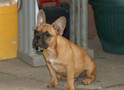 2342386471949580260223293343120726385345711n1630786887